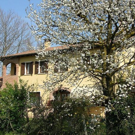 B&B Ai Ciliegi Mogliano Veneto Bagian luar foto