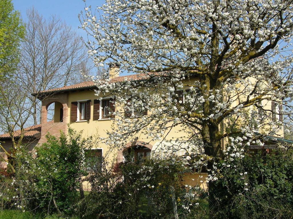 B&B Ai Ciliegi Mogliano Veneto Bagian luar foto
